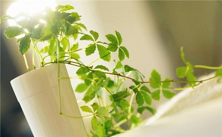 室內(nèi)裝修污染檢測(cè)方法有哪些？不檢測(cè)能入住嗎？