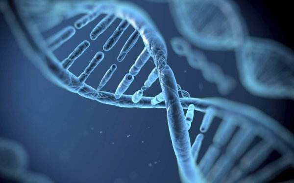 杭州甲醛檢測提醒您！空氣污染顆粒入侵孕婦胎盤，損害胎兒健康和智力