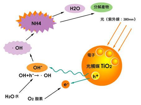 如何辨別劣質(zhì)光觸媒？
